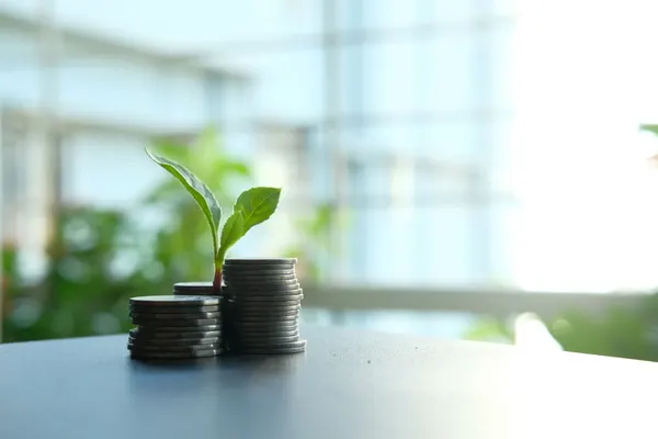 Пенсії у Словаччині з січня 2027: автоматичне підвищення на 3,5% — конкретні суми для кожного
