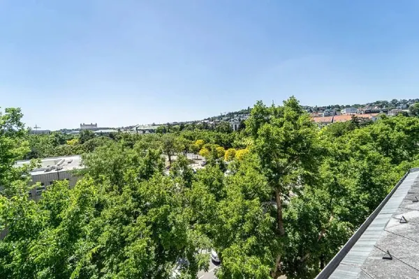 5-комн. квартира, Staré Mesto, вид на Bratislavský hrad